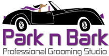 Park n Bark | Dublin's Top Professional Dog Grooming Studio